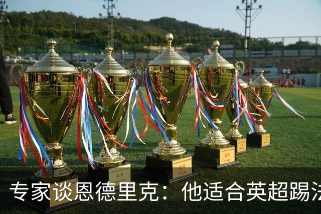 专家谈恩德里克：他适合英超踢法，英超球队该考虑询问他的情况
