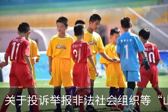 关于投诉举报非法社会组织等“山寨社团”相关事项的公告